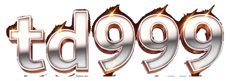 td999 logo